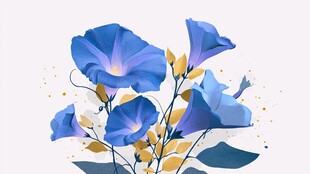 蓝色牵牛花插画艺术作品