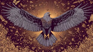 展翅雄鹰 尽显王者风范