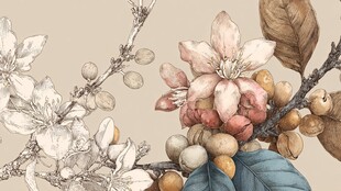 手绘花卉与果实枝头景致