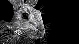 立体线条风兔子头部特写