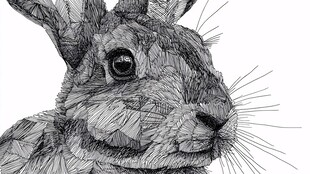 黑白线条勾勒的兔子头部