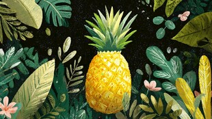 菠萝置身繁茂绿植中