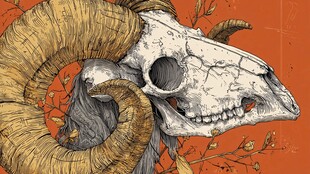 羊角骷髅图 神秘自然元素