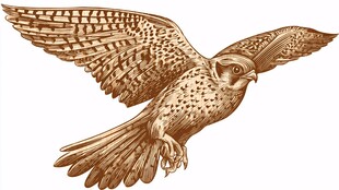 展翅翱翔的金色飞鸟