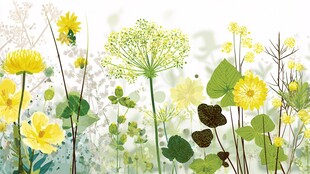 春日烂漫野花风景插画