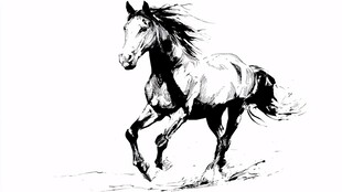 奔腾骏马黑白艺术插画