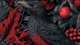 黑红相间鸟置身繁茂植物间