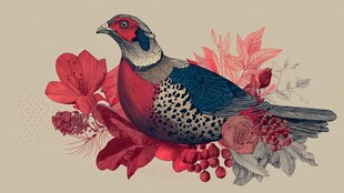 彩羽雉鸡伴繁花