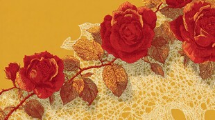 红玫瑰与蕾丝的优雅组合