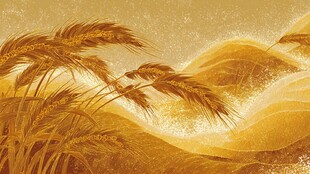 金色麦浪田园风光图景