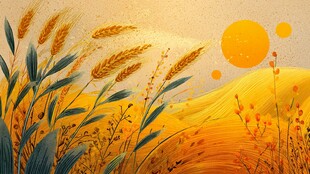 金色麦田中的日落美景