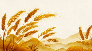 金色麦田与远山秋日图景