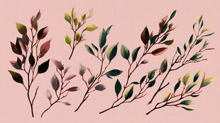 手绘多彩枝叶插画素材