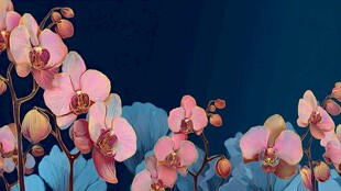 梦幻粉色蝴蝶兰花卉图景