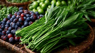 新鲜蔬果组合 营养又健康