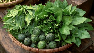 竹篮里的新鲜绿叶菜与瓜