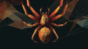 多边形风格蜘蛛插画