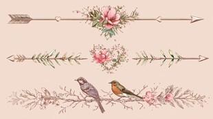 花鸟箭枝插画装饰素材