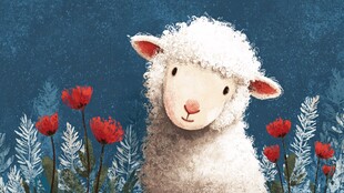 可爱小羊身处花草间