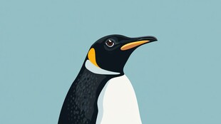 帝王企鹅侧面插画