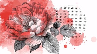 手绘红玫瑰水彩艺术插画