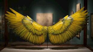 金黄羽翼艺术展品展示