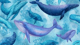梦幻水彩风海洋鲸鱼图案