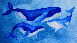 蓝色海洋中的三只可爱鲸鱼