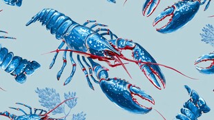 蓝色龙虾图案 水彩风纹理