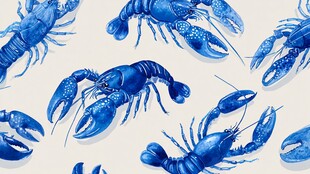 蓝色龙虾图案 水彩风背景