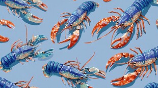 蓝色背景上的多彩龙虾图案