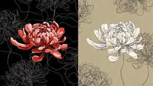 双色菊花图案设计素材