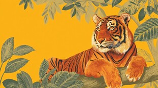 老虎栖息于繁茂绿植间