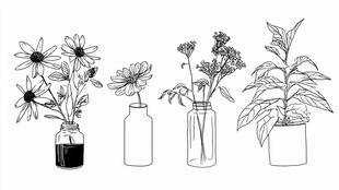 手绘瓶中花卉与盆栽植物
