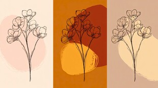 三色背景下的简约花卉插画