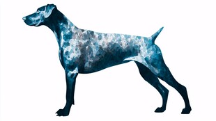 蓝色水彩风格的站立猎犬