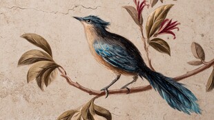 枝头蓝羽鸟 花叶伴身旁