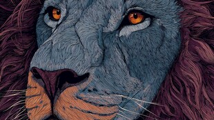 蓝色雄狮的威严凝视