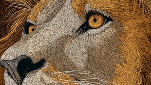 刺绣雄狮眼部特写