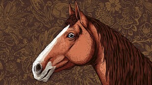 棕马肖像 复古花纹背景