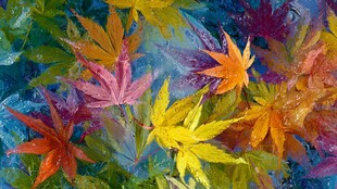 缤纷秋叶水彩画