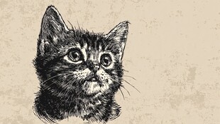 手绘萌小猫 灵动又可爱