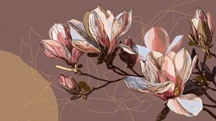 手绘玉兰花枝的优雅景致