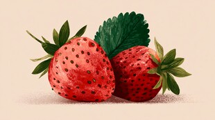 新鲜草莓插画 色彩鲜艳