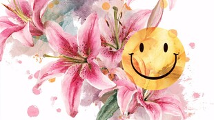 粉色百合旁的灿烂笑脸