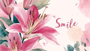 粉色百合绽放的微笑时刻