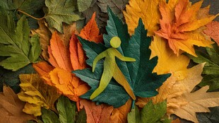 秋叶间的活力小人