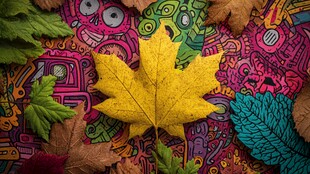 秋叶静置于多彩涂鸦背景