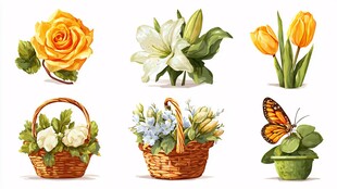 花卉插画 玫瑰百合等花卉