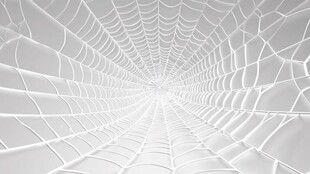 白色梦幻蜘蛛网纹理背景